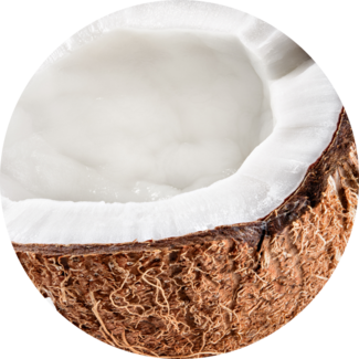 Coconut Nut