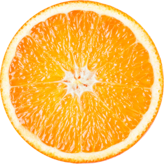 Fresh Clementine orange slice