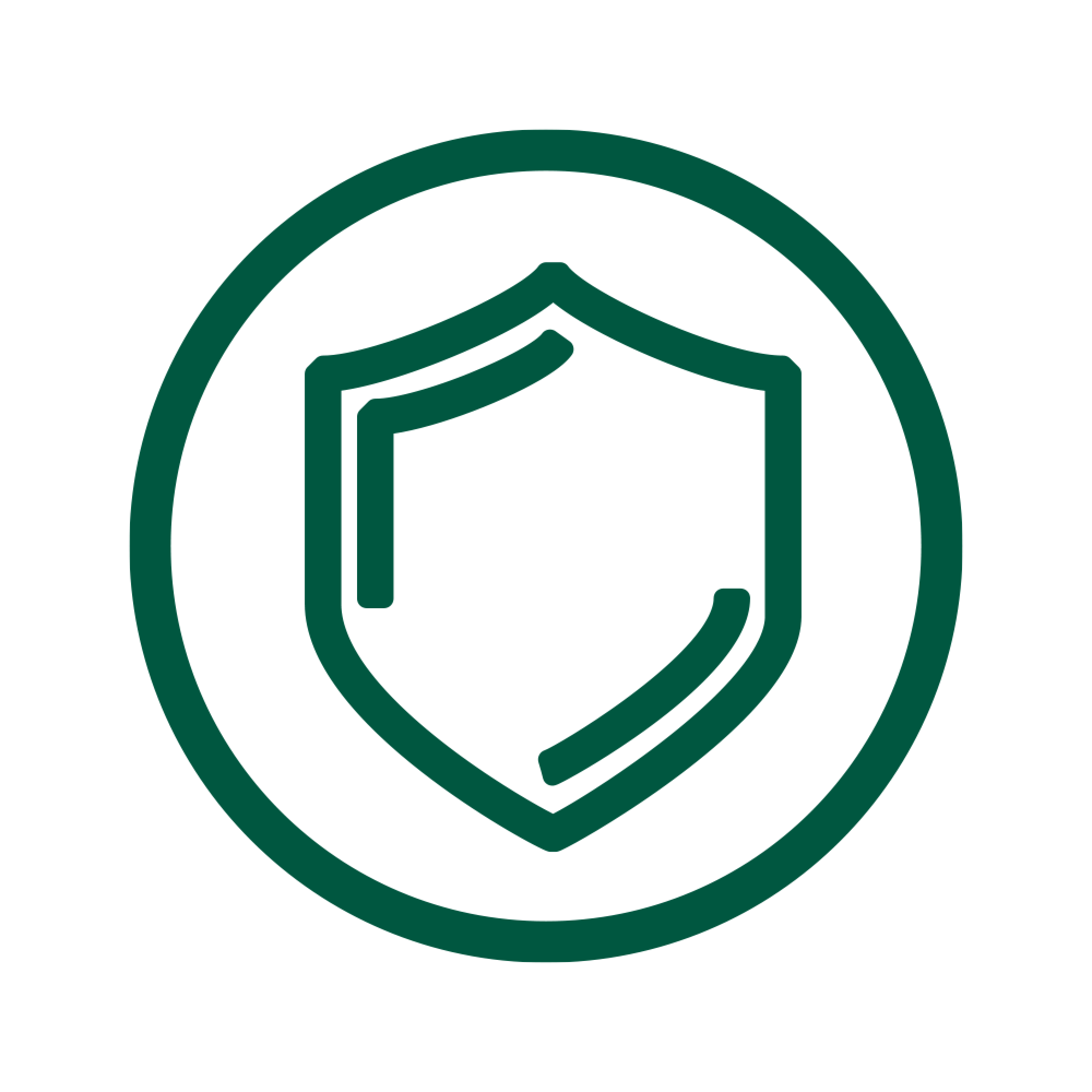 Protection shield Icon