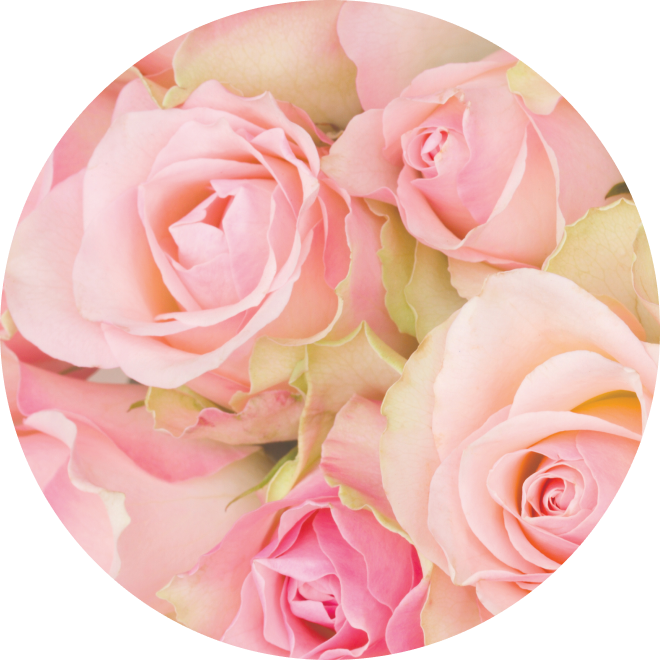 Ingredient Glossary - Rose