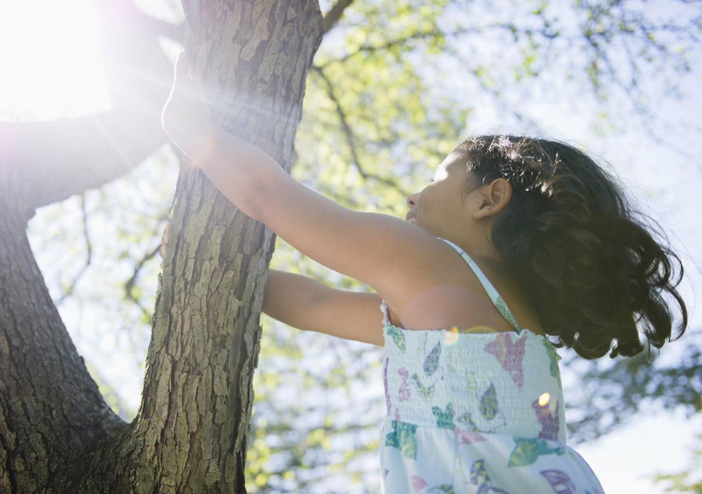 Girl Climbing Tree