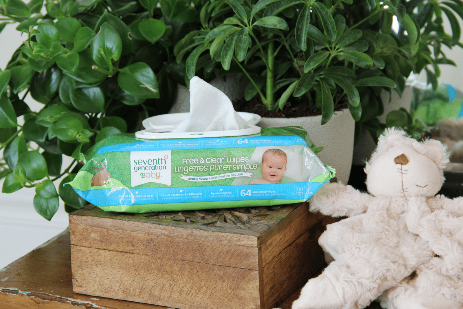Seventh Generation disinfecting wipes with Teddy bear and plant