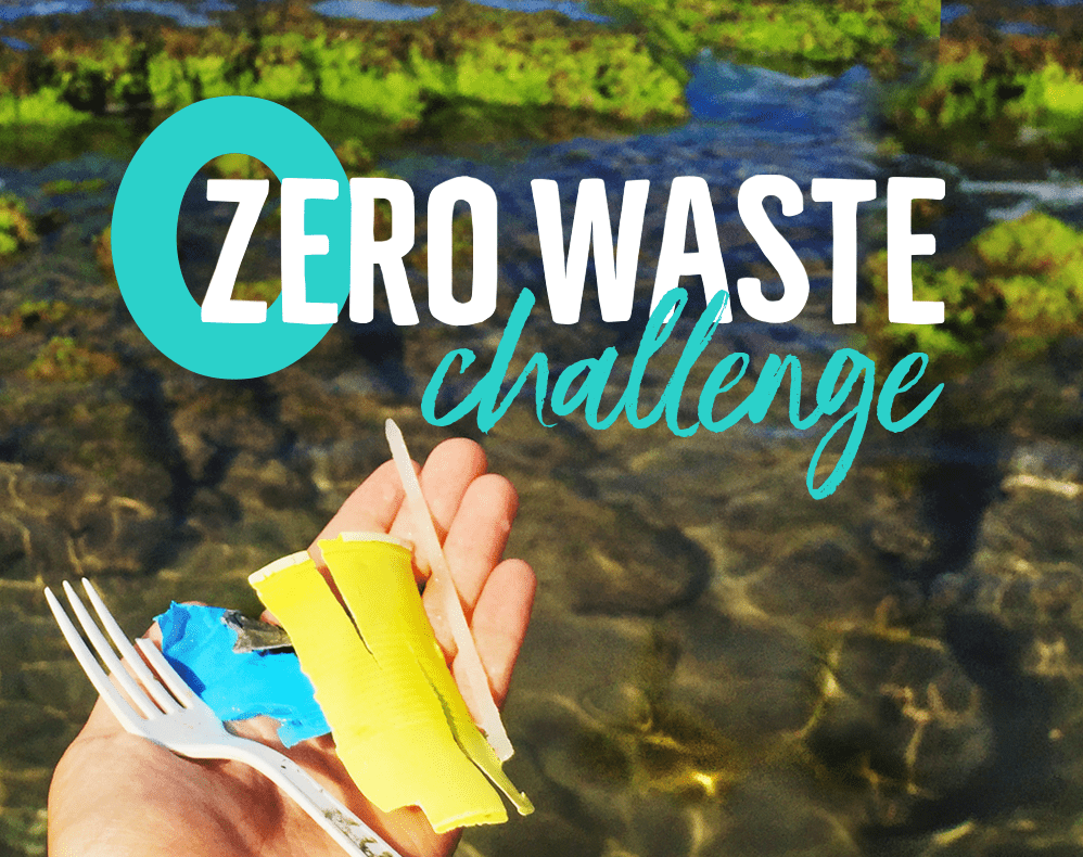 Seventh Generation Zero Waste Challenge