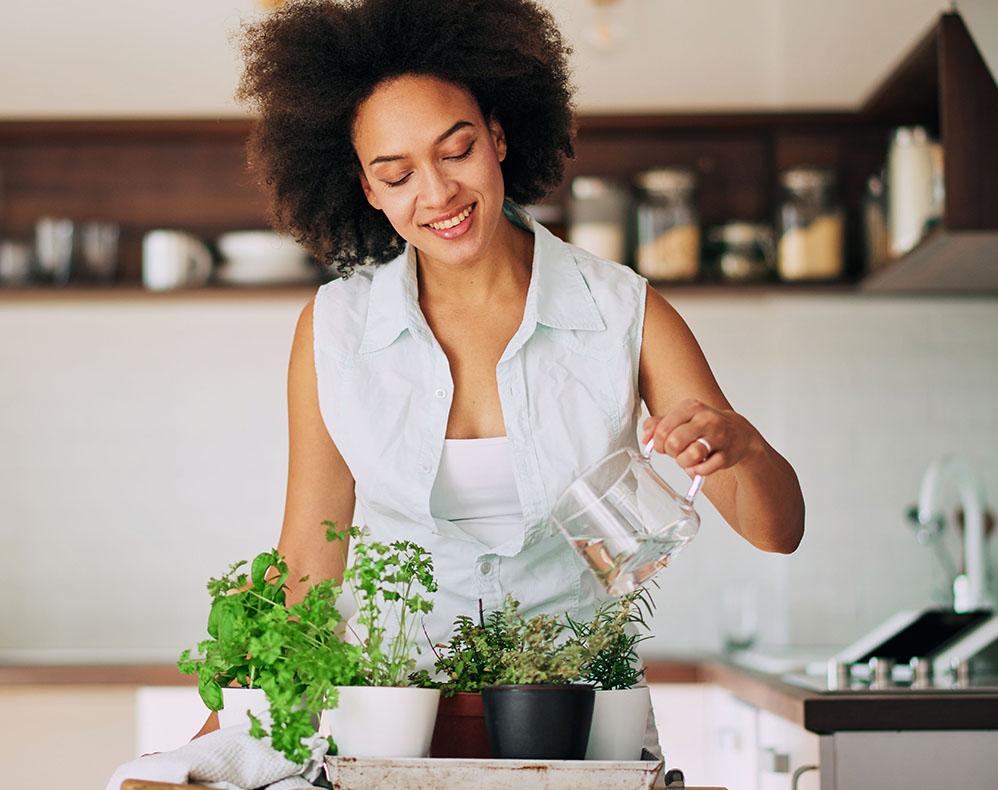 Image of person watering herbs in kitchen