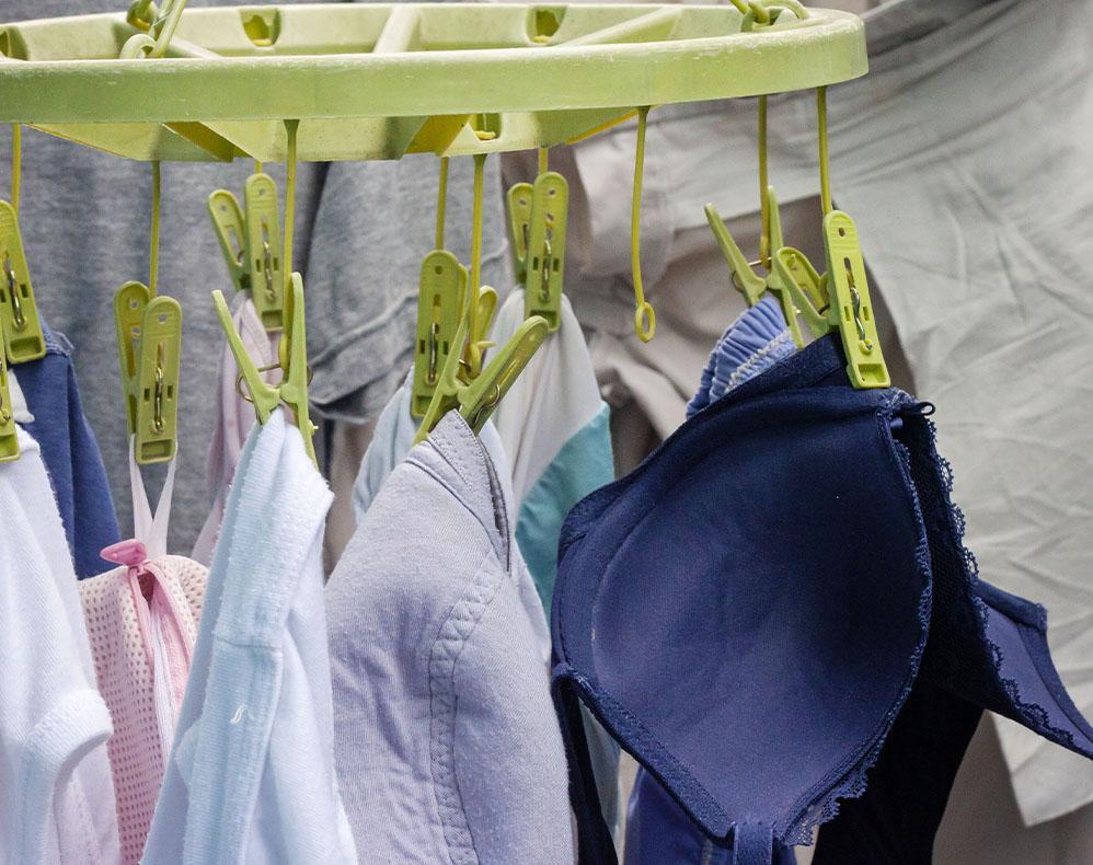 Bras Hanging on Clothesline