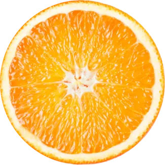 Fresh Clementine orange slice