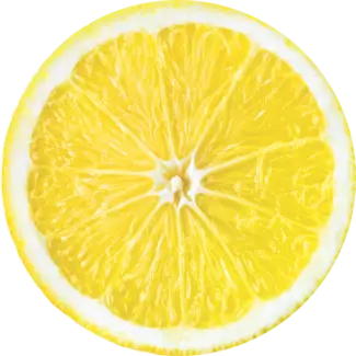 Fresh lemon slice