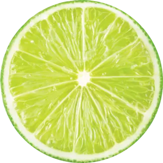 Fresh lime slice