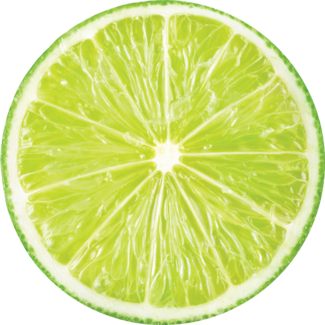 Fresh lime slice