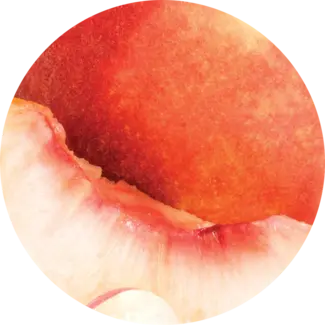 Fresh stone fruit slices