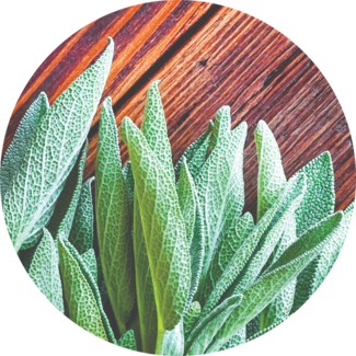 Fresh sage leaves on cedar board