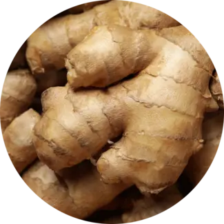 Ingredient Glossary - Ginger Root