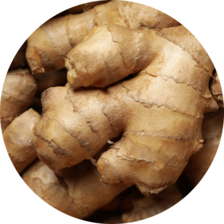 Ingredient Glossary - Ginger Root