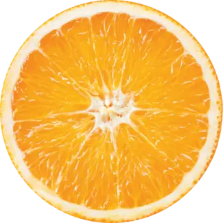 Ingredient Glossary - Orange