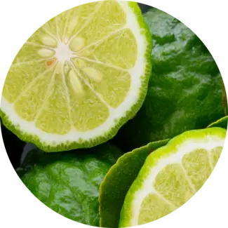 Bergamont citrus