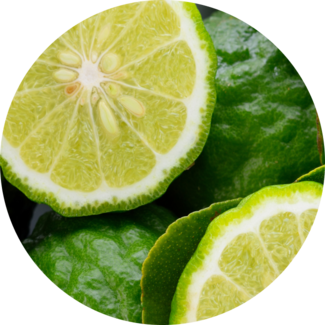 Bergamont citrus