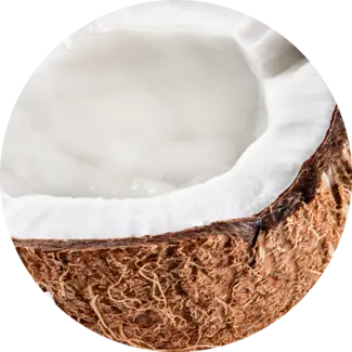 Coconut Nut