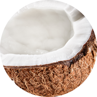 Coconut Nut