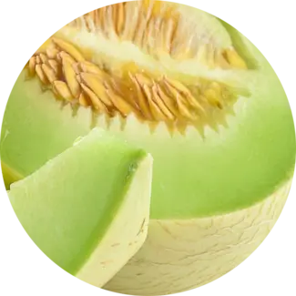 Green Melon Slices