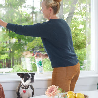 Adult cleaning window with Seventh Generation Glass Cleaner as dog and child nearby