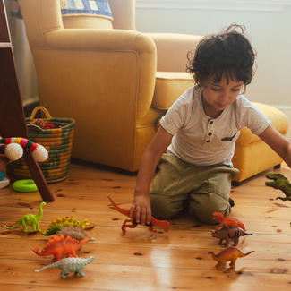 Child playing with dinosaur toys