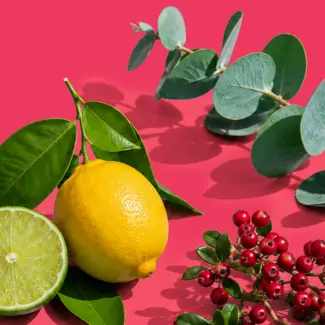 Berry & Bright Ingredient