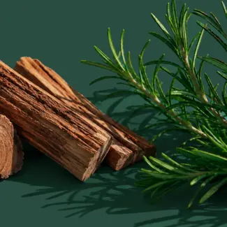 Winter Woods Scent