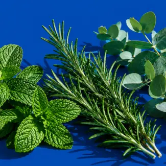 Slopeside Spritz Ingredient