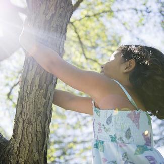 Girl Climbing Tree