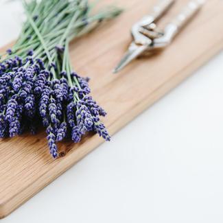 Sprigs of Lavander on cutting board