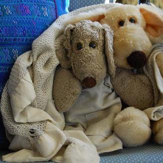 Stuffed Toys in Chair