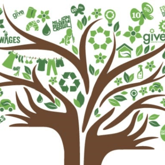 SVG Foundation Tree logo