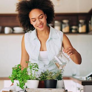 Image of person watering herbs in kitchen