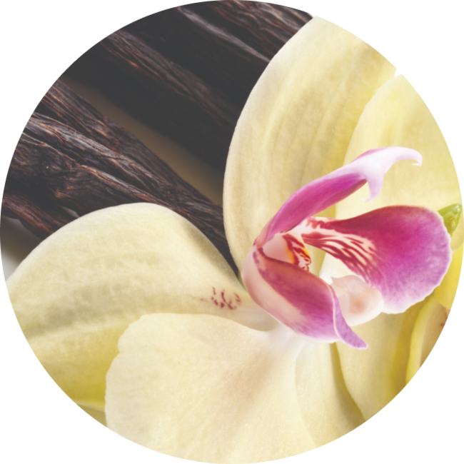 Disinfectant Spray Lavender, Vanilla & Thyme Seventh Generation