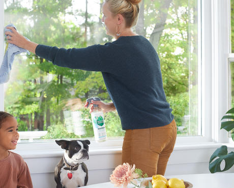 Adult cleaning window with Seventh Generation Glass Cleaner as dog and child nearby