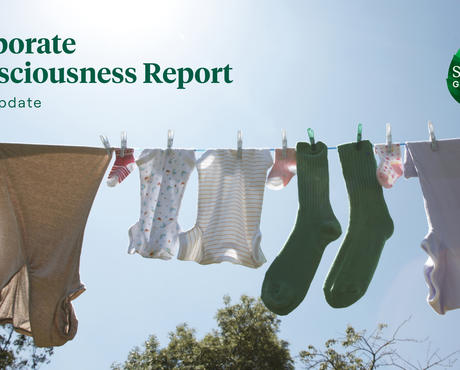 2022 Corporate Consciousness Report - Laundry drying in sun on clothesline