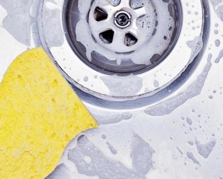 Is Your Kitchen Sponge a Germ Magnet