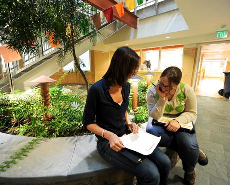 Employees at Seventh Generation