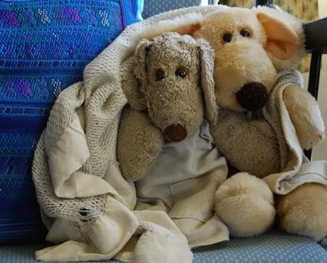 Stuffed Toys in Chair