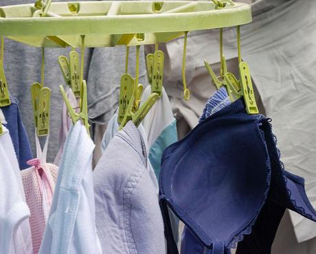 Bras Hanging on Clothesline