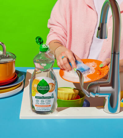 SVG_ProductInAction_DISH_ClemHandDish