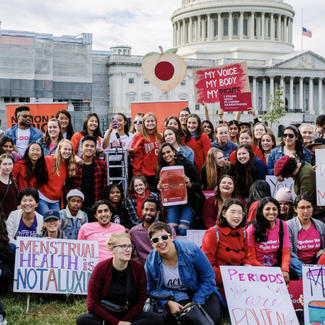 Period Protest at the Capitol