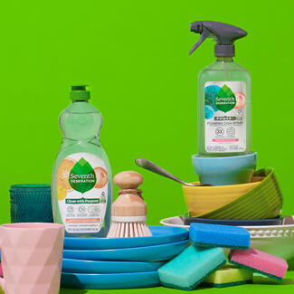 Seventh Generation Dish Category