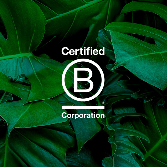 b corporation corp certified