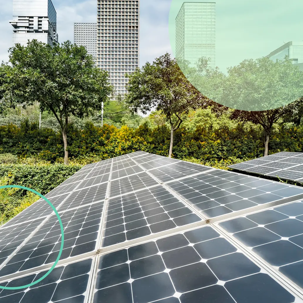 renewable energy