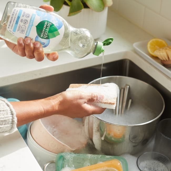 Dish Soap on a Sponge